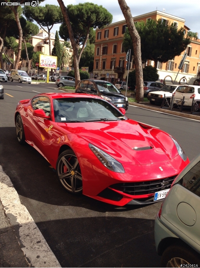 終於在義大利看到紅鬃野馬的身影了...