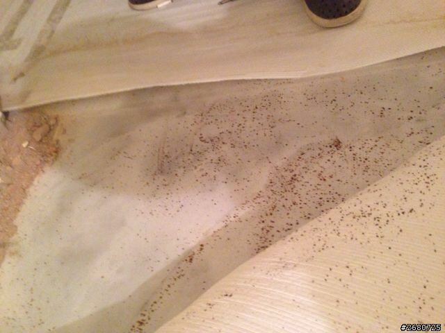 自平水泥出現一點一點類似鏽斑，該怎麼辦？