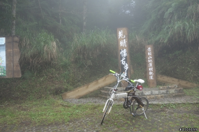 雲霧繚繞、鬱鬱蒼蒼，2014 鐵騎探索太平山