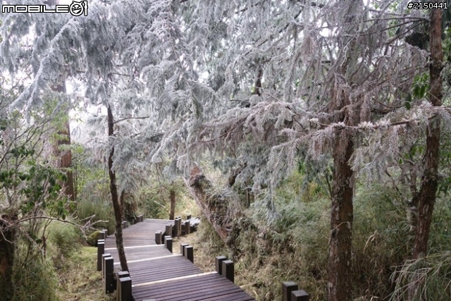 【北台灣行】北海岸.北橫公路(2014.1.19~01.25)-Day 4