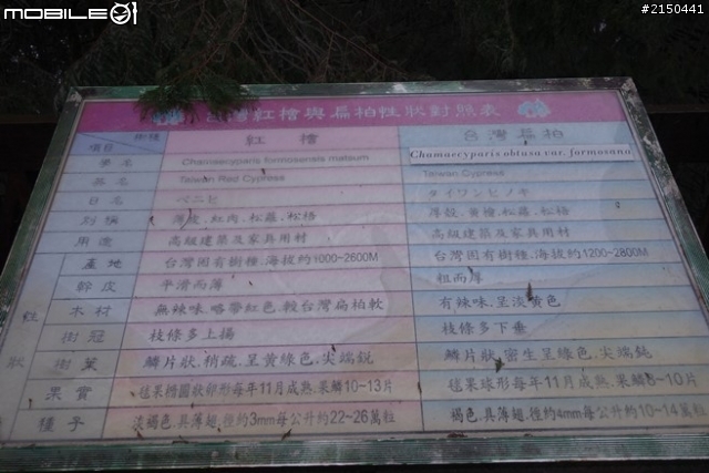 【北台灣行】北海岸.北橫公路(2014.1.19~01.25)-Day 4