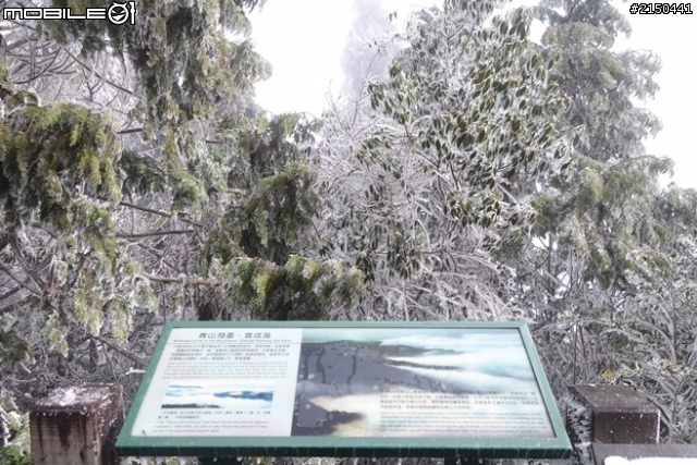 【北台灣行】北海岸.北橫公路(2014.1.19~01.25)-Day 4