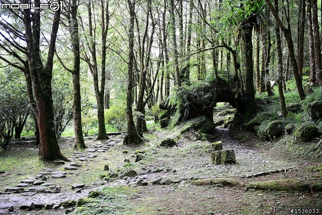 明池國家森林遊樂區之行