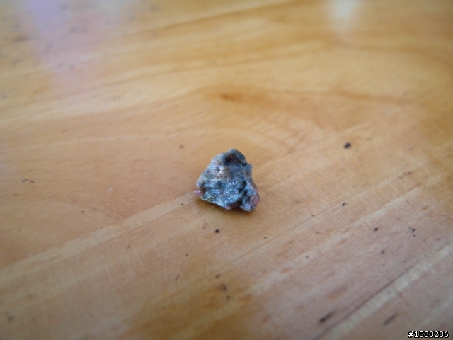 送給自己的畢業禮物9天環島衝一發！