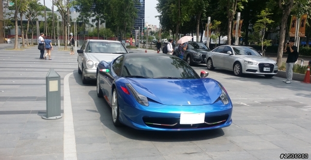 問問是什麼馬~