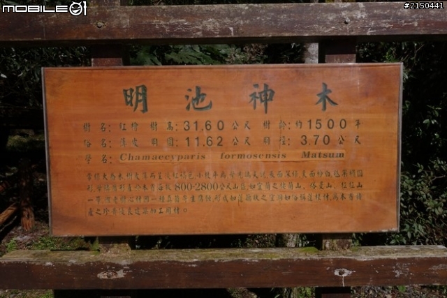 【北台灣行】北海岸.北橫公路(2014.1.19~01.25)-Day 5