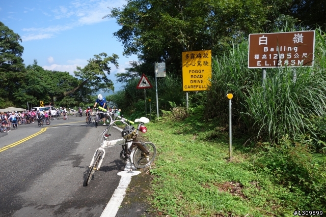 雲霧繚繞、鬱鬱蒼蒼，2014 鐵騎探索太平山