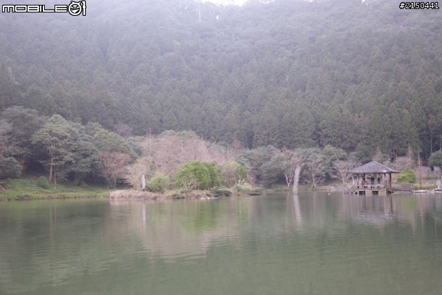 【北台灣行】北海岸.北橫公路(2014.1.19~01.25)-Day 5