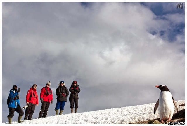 2013 Antarctica 南極