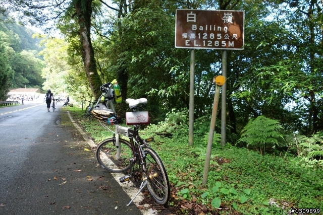 雲霧繚繞、鬱鬱蒼蒼，2014 鐵騎探索太平山