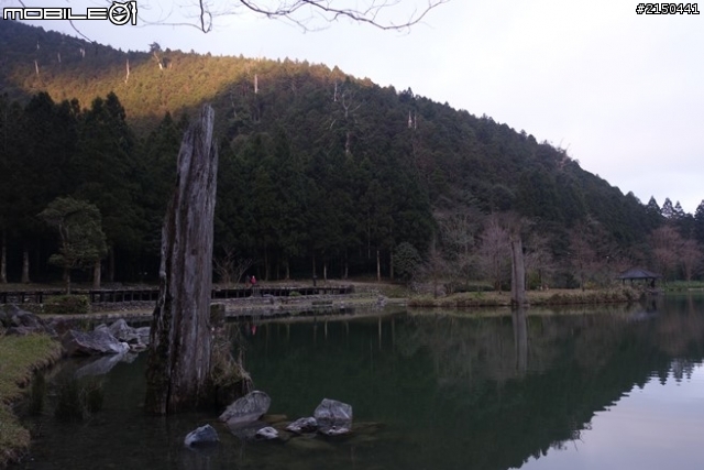 【北台灣行】北海岸.北橫公路(2014.1.19~01.25)-Day 5