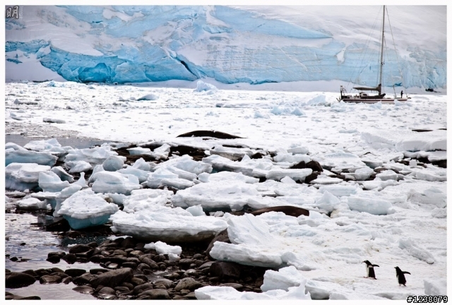 2013 Antarctica 南極