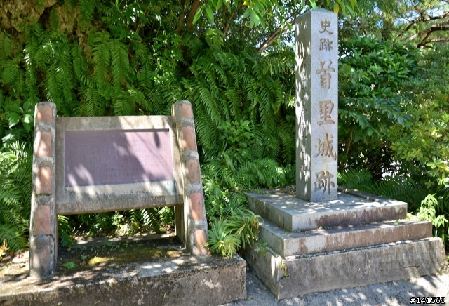 D600 沖繩自由行(圖多慎入)