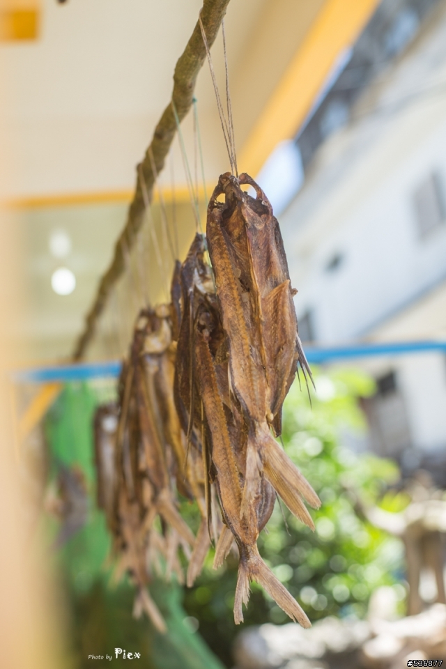 [開箱]Olympus G.Zuiko 55mm F1.2