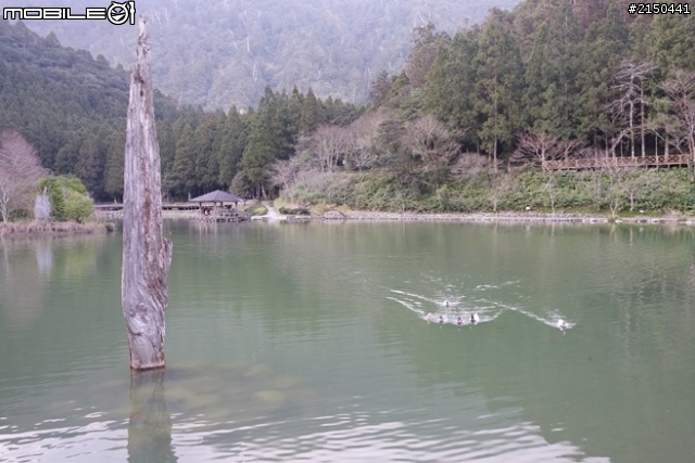 【北台灣行】北海岸.北橫公路(2014.1.19~01.25)-Day 5