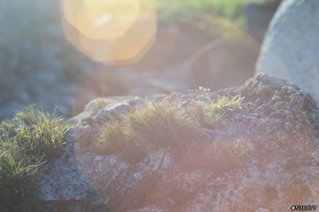 [開箱]Olympus G.Zuiko 55mm F1.2