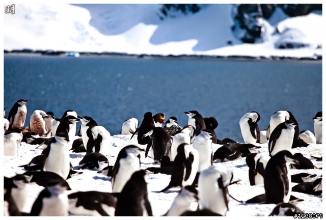 2013 Antarctica 南極