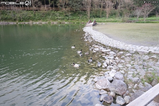 【北台灣行】北海岸.北橫公路(2014.1.19~01.25)-Day 5