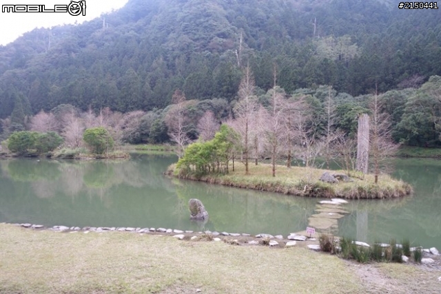 【北台灣行】北海岸.北橫公路(2014.1.19~01.25)-Day 5