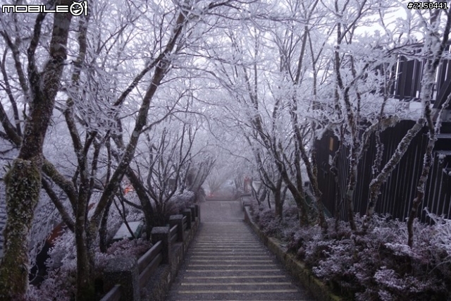 【北台灣行】北海岸.北橫公路(2014.1.19~01.25)-Day 4