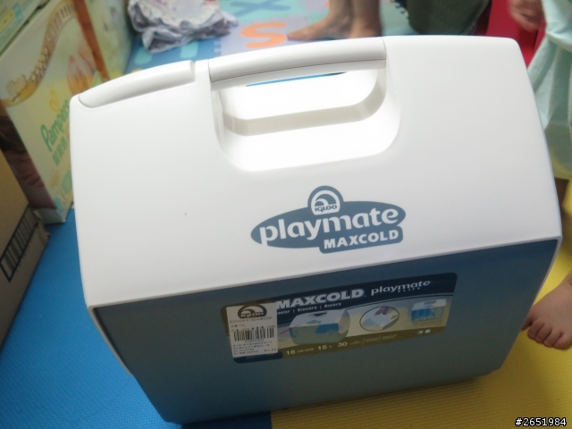 Igloo 16QT 小冰桶