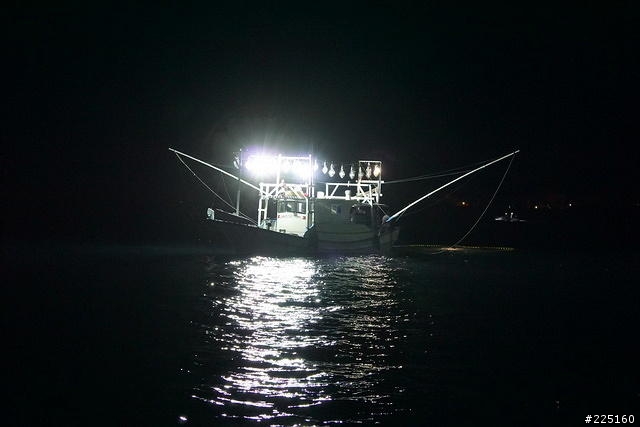 不推薦-2014基隆鎖管季-海上體驗之夜訪鎖管海上體驗