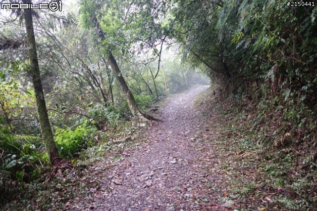 【北台灣行】北海岸.北橫公路(2014.1.19~01.25)-Day 3
