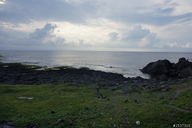 照片怎麼拍都拍不好><   請專家指教~~