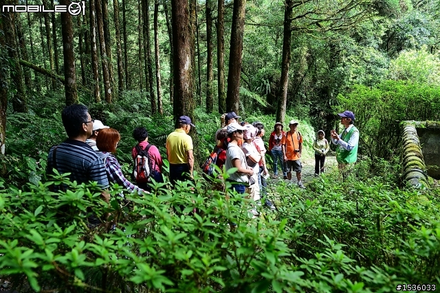 明池國家森林遊樂區之行