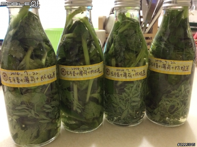 自製防蚊液