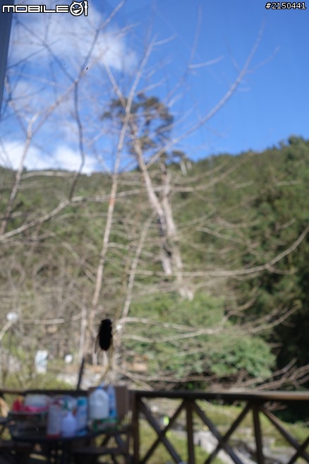 【北台灣行】北海岸.北橫公路(2014.1.19~01.25)-Day 5