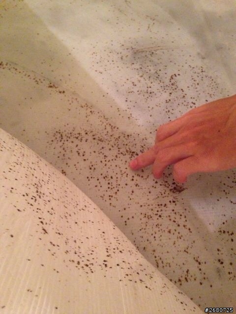 自平水泥出現一點一點類似鏽斑，該怎麼辦？