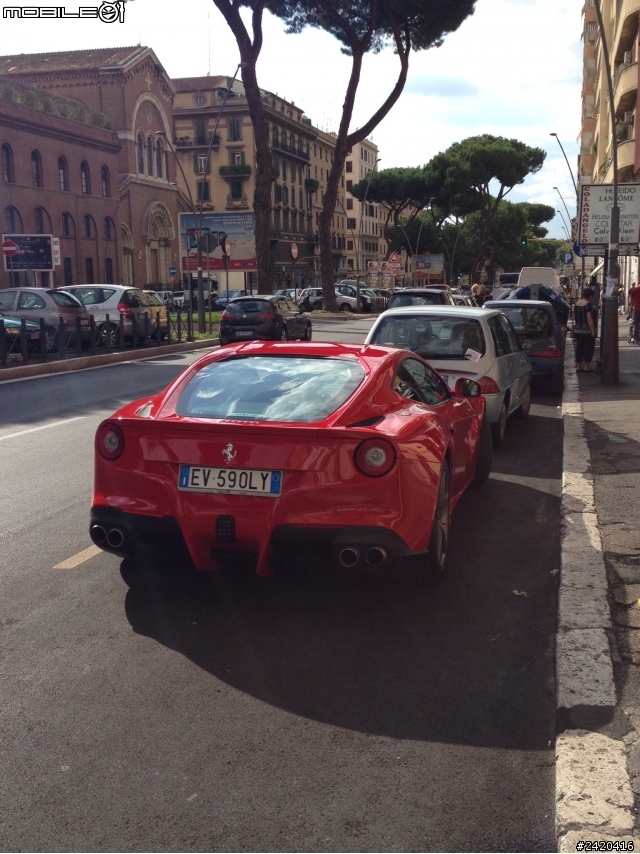 終於在義大利看到紅鬃野馬的身影了...