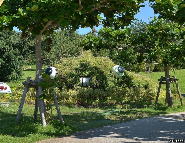 D600 沖繩自由行(圖多慎入)