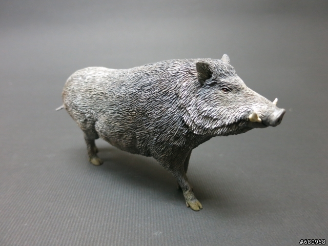 山豬來了(仿真動物模型製作--1:10th scale 台灣野豬[Sus scrofa taivanus])