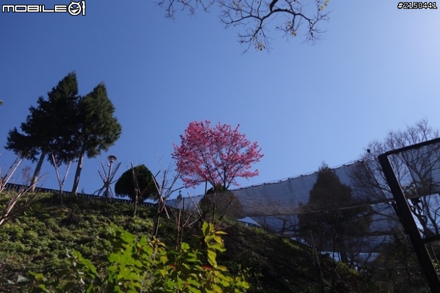 【北台灣行】北海岸.北橫公路(2014.1.19~01.25)-Day 6