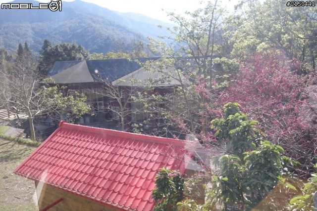【北台灣行】北海岸.北橫公路(2014.1.19~01.25)-Day 5