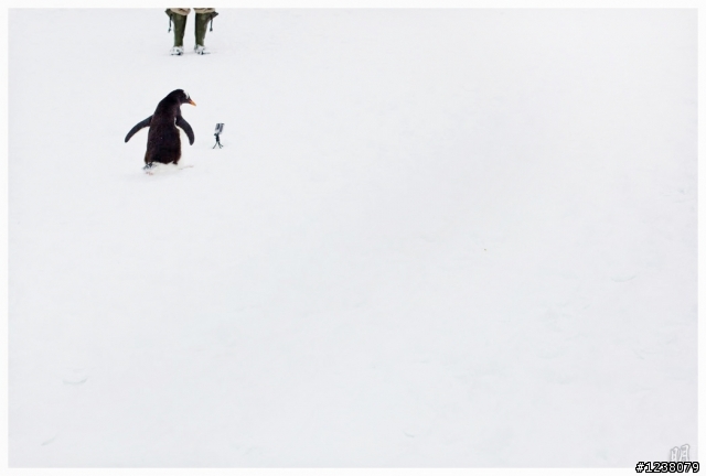 2013 Antarctica 南極