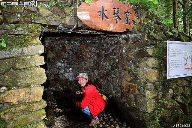 明池國家森林遊樂區之行