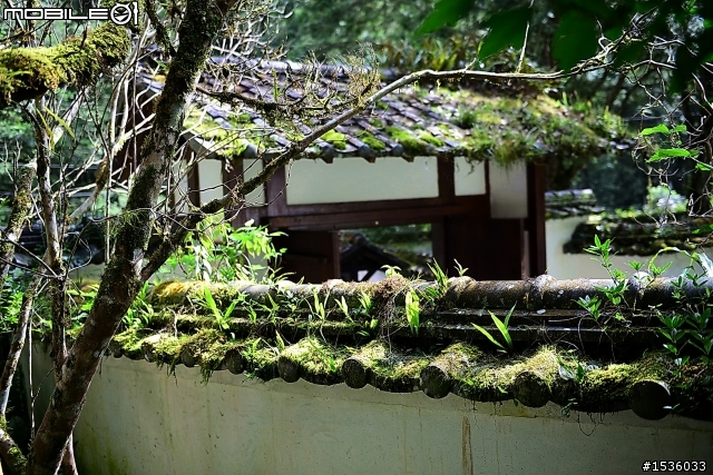明池國家森林遊樂區之行
