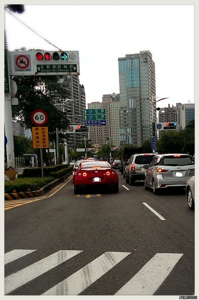 取牛的路上遇見野生牛