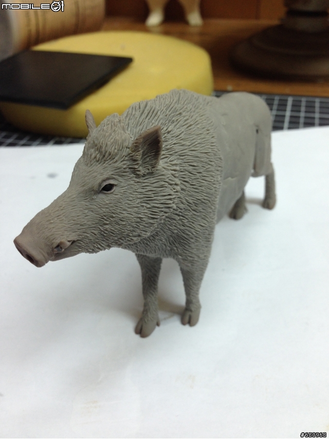 山豬來了(仿真動物模型製作--1:10th scale 台灣野豬[Sus scrofa taivanus])