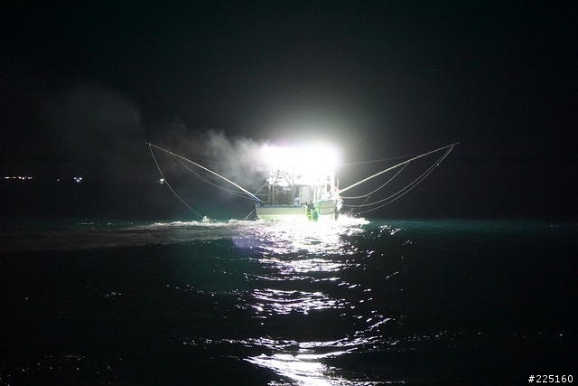 不推薦-2014基隆鎖管季-海上體驗之夜訪鎖管海上體驗