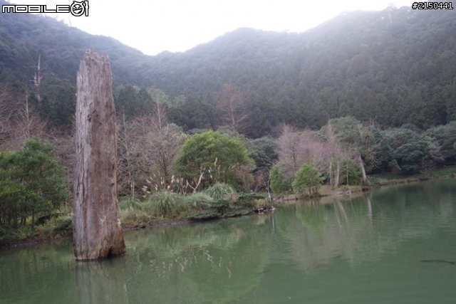 【北台灣行】北海岸.北橫公路(2014.1.19~01.25)-Day 5