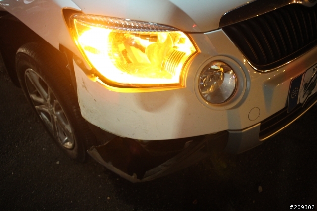 難忘的生日～守護神skoda yeti