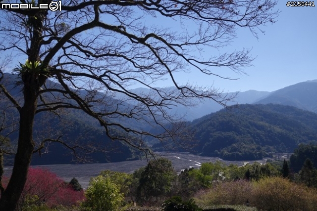 【北台灣行】北海岸.北橫公路(2014.1.19~01.25)-Day 5