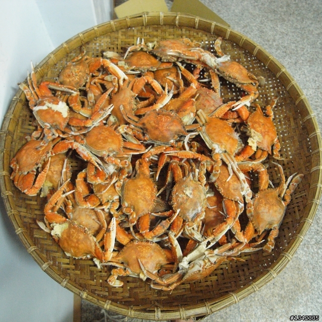內垵普渡