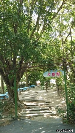 台南鴨莊(全台最大親子氣墊)
