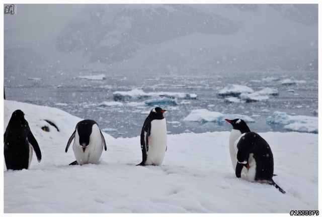 2013 Antarctica 南極