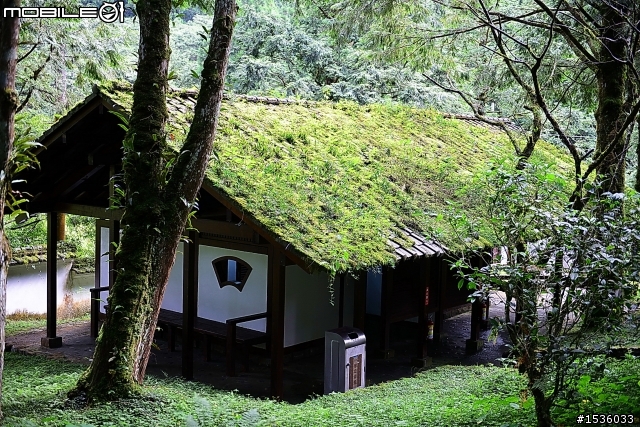 明池國家森林遊樂區之行